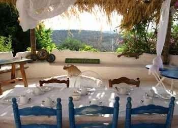 Aloe Vera Casa rural Huércal-Overa