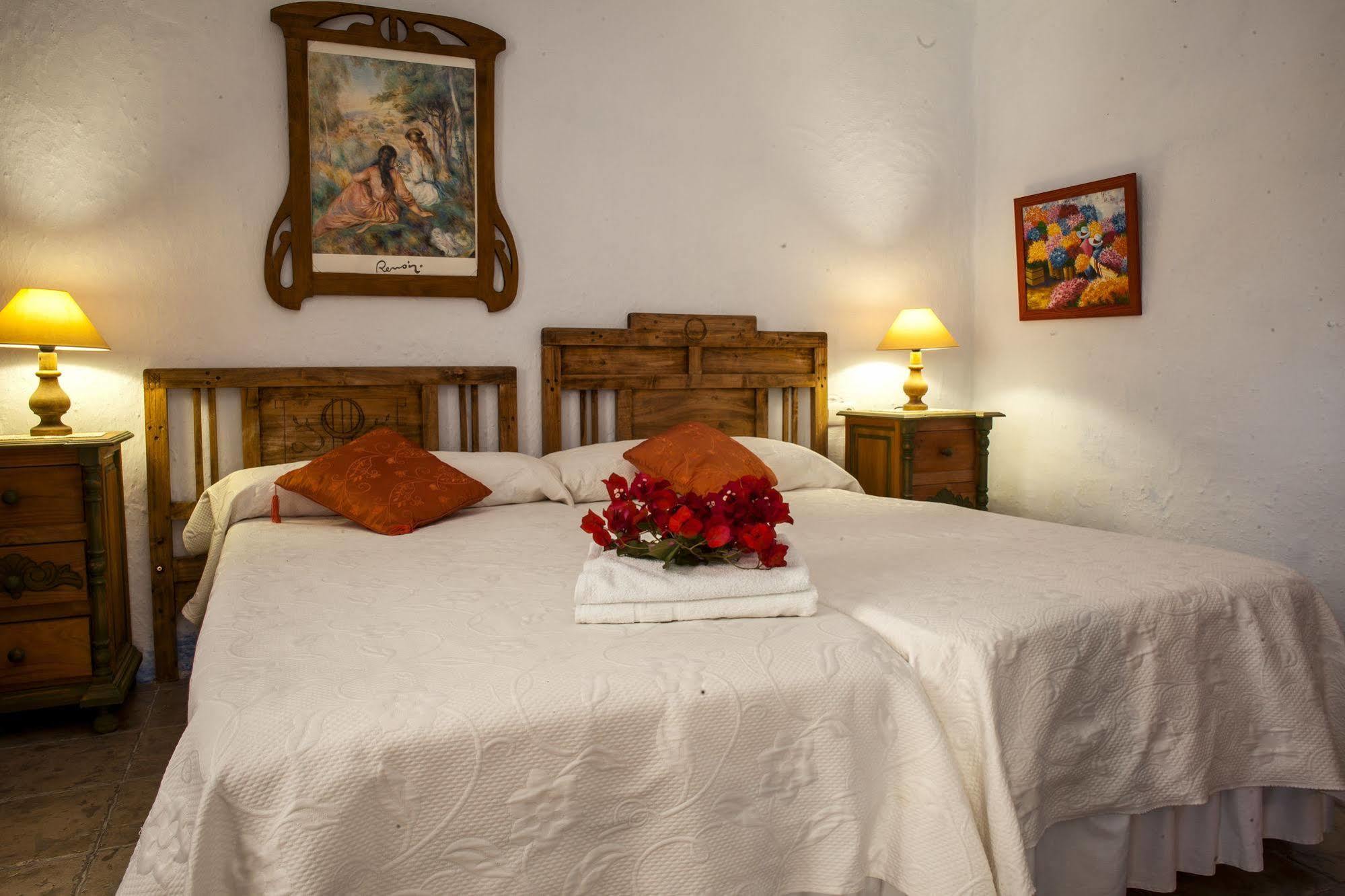 Aloe Vera Casa rural