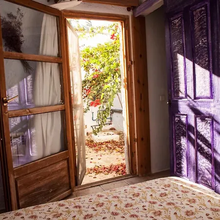 Casa Rural Aloe Vera Huércal Overa Extérieur photo