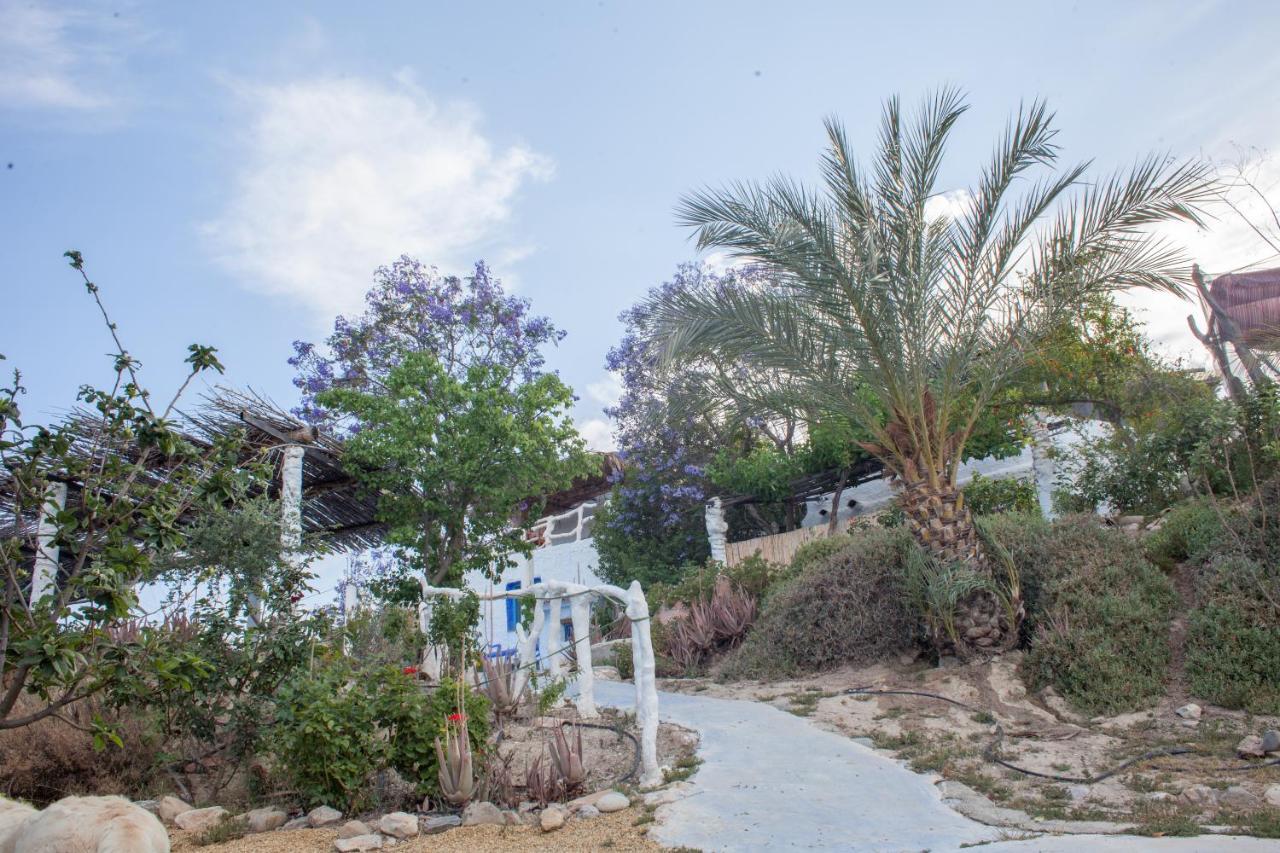 Casa Rural Aloe Vera * Huercal-Overa