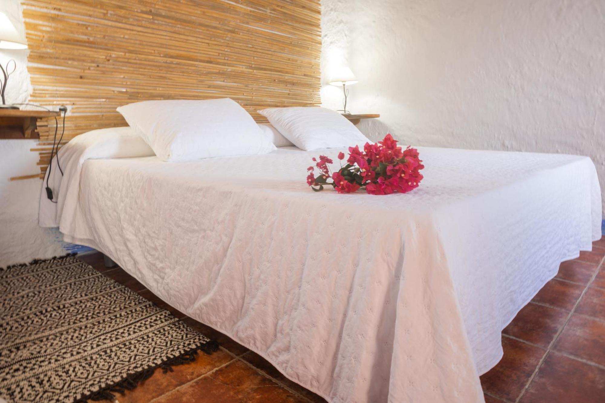Casa Rural Aloe Vera Country house Huercal-Overa
