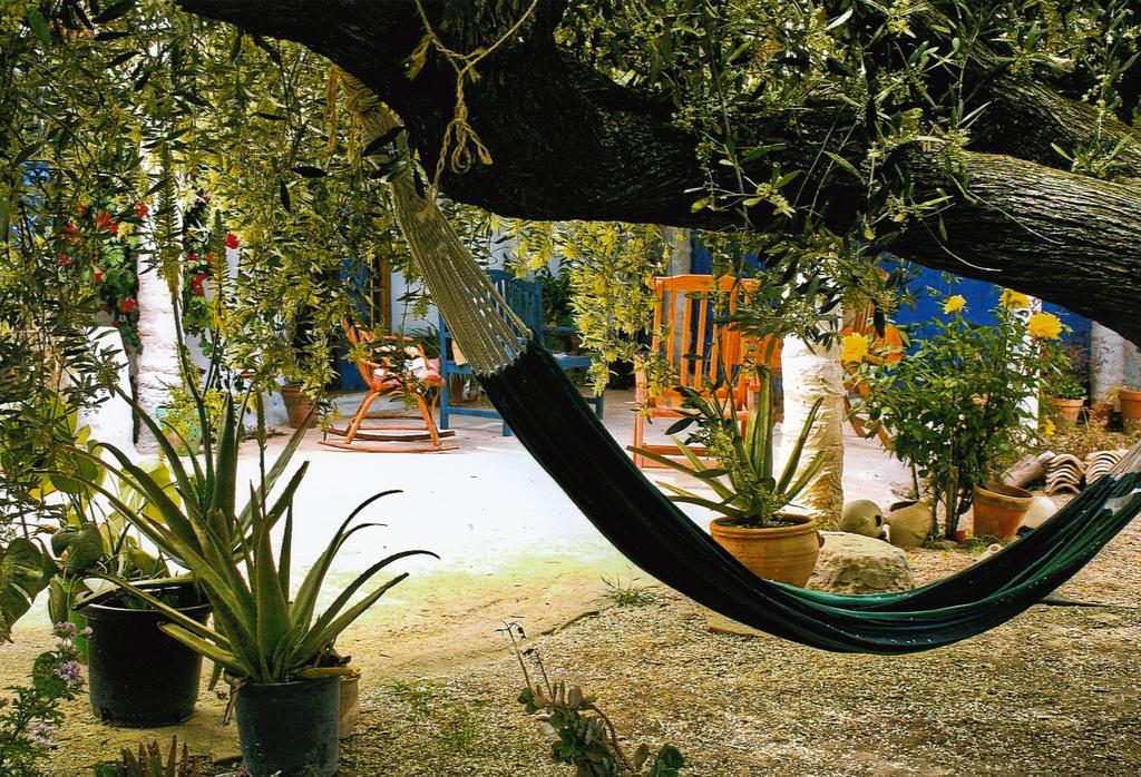 Casa Rural Aloe Vera Huercal-Overa
