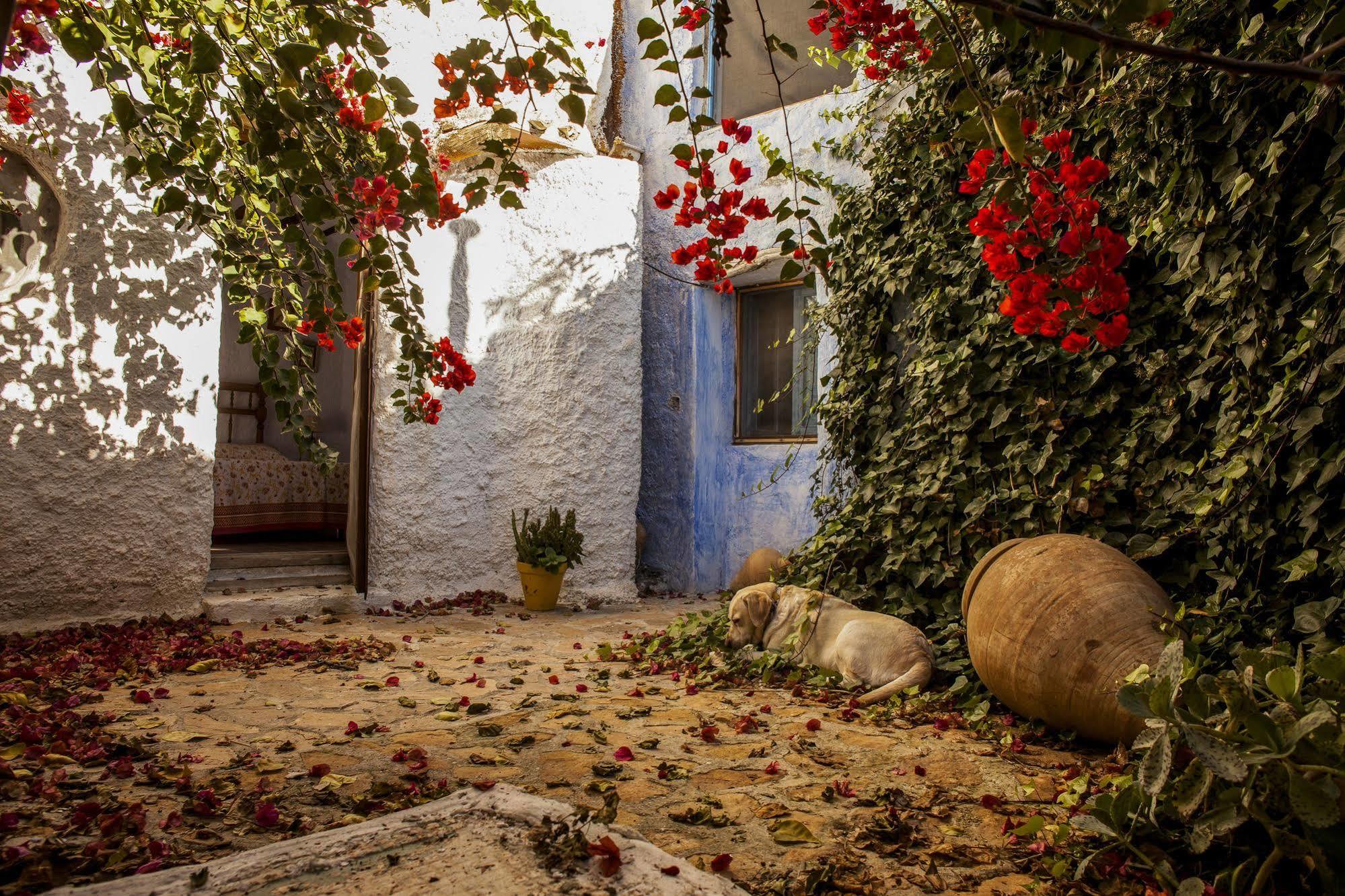 Casa Rural Aloe Vera Country house Huercal-Overa
