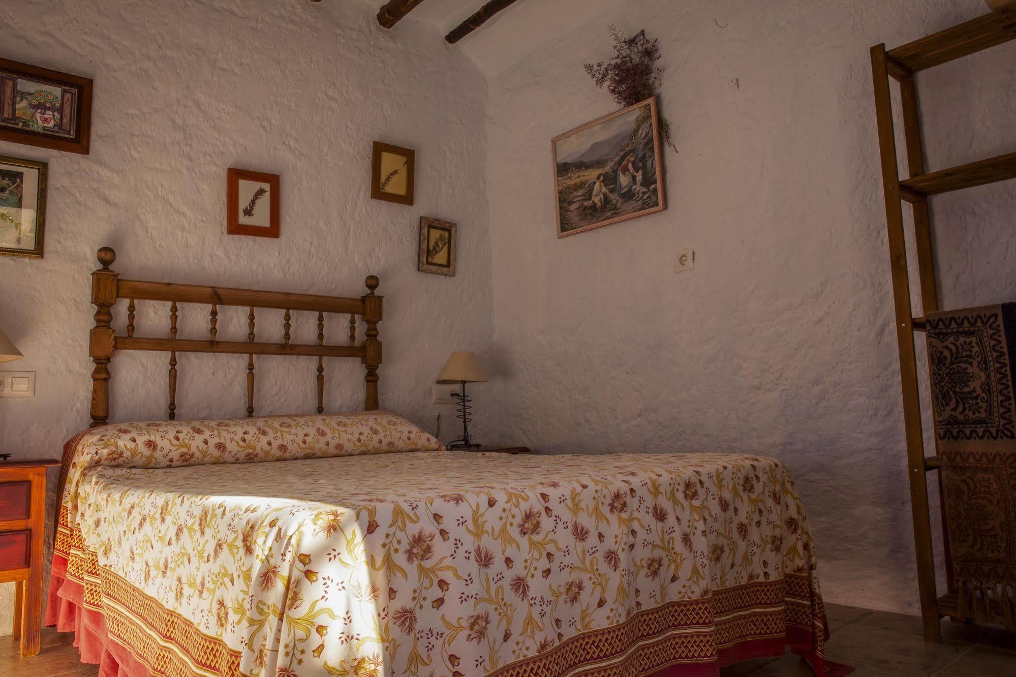 Country house Casa Rural Aloe Vera *